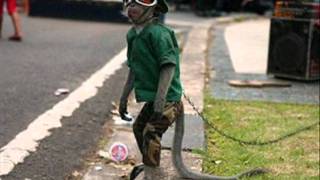 Fuckemos - Celebration (with monkeys)