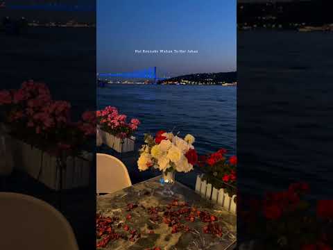 Palke jhapakta hai aasman☺️💙🌦||Gehra hua||Dhurandhar #bollywoodsongs #ytshorts #fypシ゚viral #trending