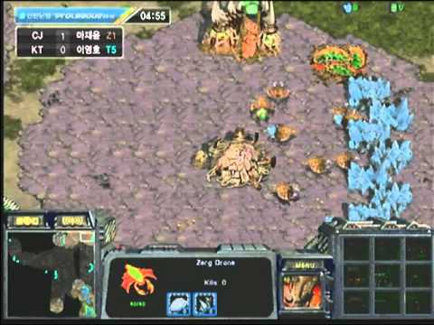 SPL  sAviOr vs Flash 2009-12-06  @ Fighting Spirit