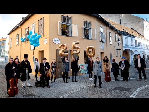 Alles Gute, Ludwig! #Beethoven2020Baden