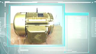 Baldor EM4103T