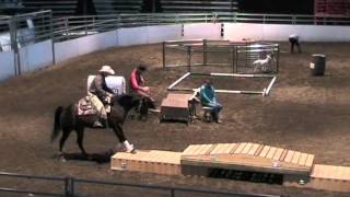Calgary Stampede Cowboy Up Challenge 2011 (Day 1) - Jim Anderson