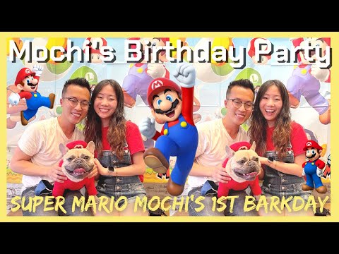 Mochi's Awesome 1st Birthday Party | French Bulldog...
