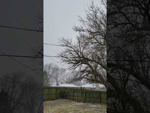 Thunder Sleet-2/24/22 Springfield, MO