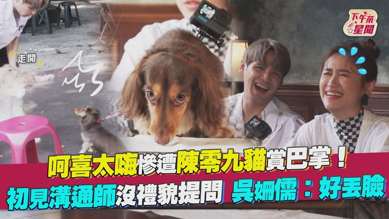 影音/吳姍儒呵喜慘遭陳零九貓賞巴掌 提問溝通師「好丟臉」