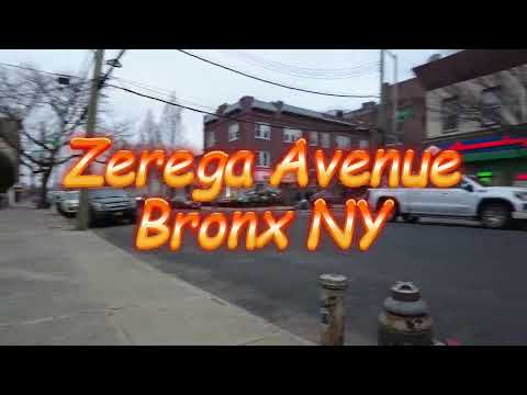 Zerega Ave Bronx New York