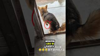 Download lagu The most genius actor: turns out this is the reason he pretends to be lame! mp3