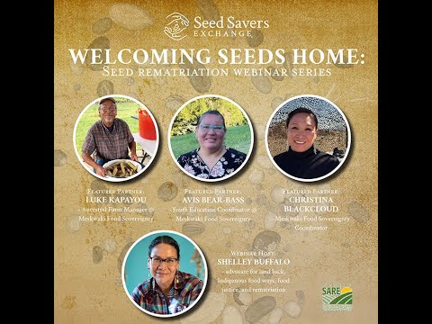 Welcoming Seeds Home: Seed rematriation webinar session #3