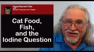 Should I Look for Low Iodine Cat Food?