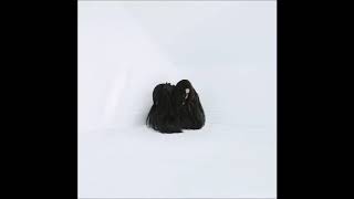 Chelsea Wolfe - Hiss Spun ((FULL ALBUM))