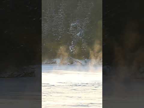Steaming lake on  a cold morning