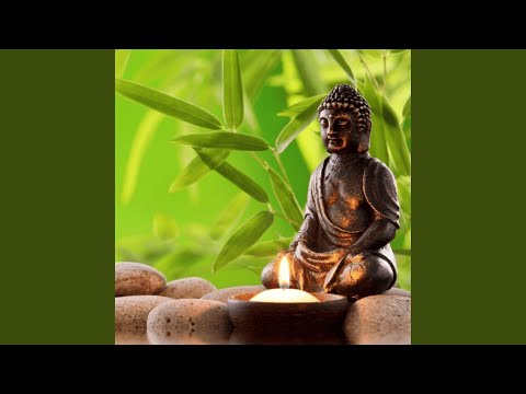 Remove Negative Thoughts & Subconscious Blockages, Meditation & Healing Music Relax Mind Body