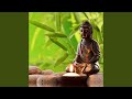 Remove Negative Thoughts & Subconscious Blockages, Meditation & Healing Music Relax Mind Body