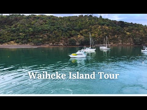 Waiheke Island Tour New Zealand | Wild Estate | Sculpture on the Gulf | Kayaking