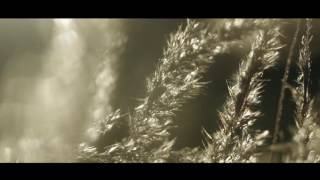 M. Laakso: My Last Words (Kuolemanlaakso) (Official Music Video)