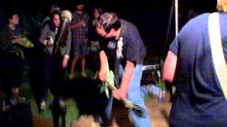 The Dopamines - Molly & Cabot Gal (Pinhead Gunpowder)