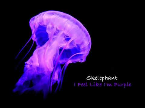 Skelephant - I Feel Like I'm Purple (Full Album)