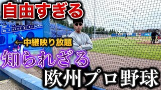 [閒聊] 日本棒球YT跑去看荷蘭聯賽