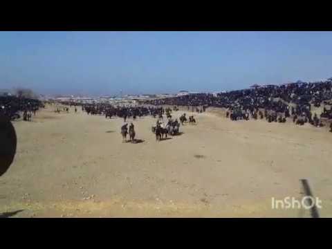 Yangi ko'pkari Urgut 1-qism 24.03.2019-yil