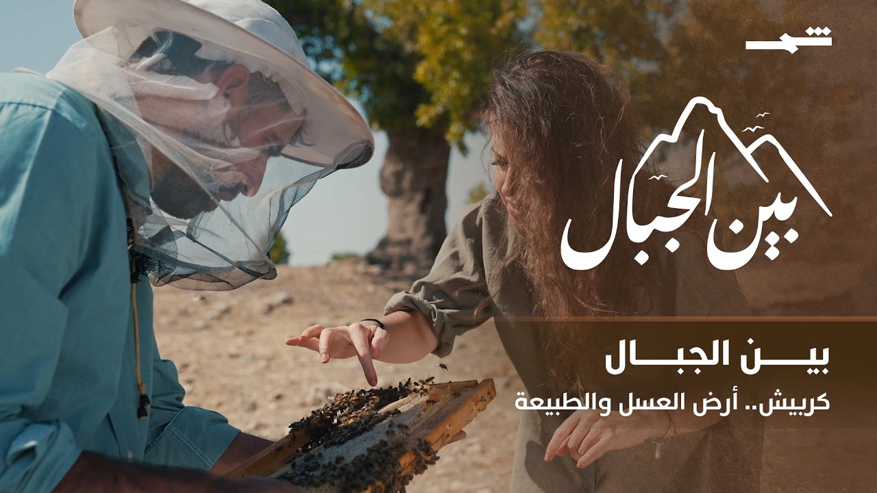 فيديو | بين الجبال | رحلة إلى كربيش.. طبيعة خلابة وعسل نادر وحنين إلى أيام كاظم الساهر