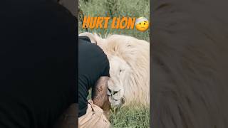 Would you help him?🤕