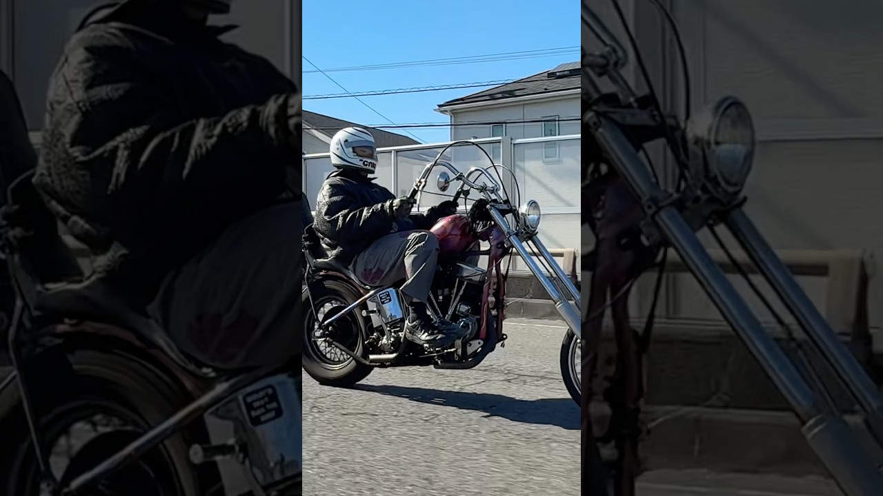So chill! #shorts #harleydavidson #chopper #ハーレー