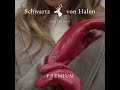 Autumn / Winter 2022 - Premium Leather Gloves - Schwartz & von Halen - Shop Today - 1