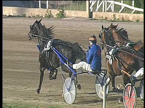 Trotto 23/04/2017 - 7ª corsa