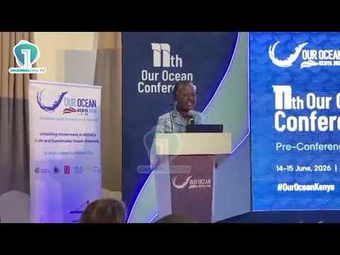 Africa’s Ocean Economy Must Move From Aid to Investment – Minister Emelia Arthur | Ghana News