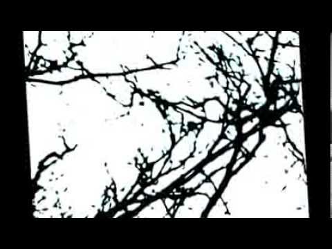 A.M.Jopek / Pat Metheny- Upojenie