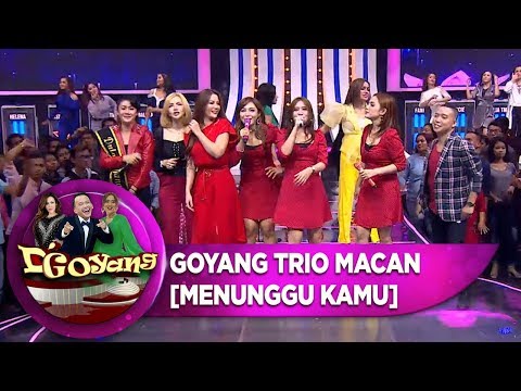Seger Abis Goyang Bareng Trio Macan [MENUNGGU KAMU] - D'Goyang (8/10)
