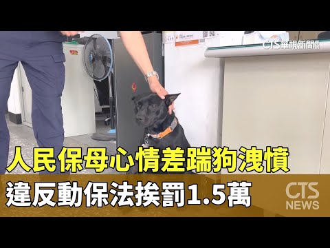 人民保母心情差踹狗洩憤　違反動保法挨罰1.5萬