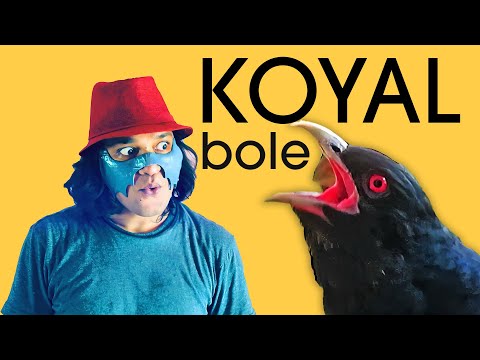 Koyal | BCS Ragasur | Official Music Video