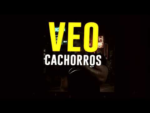 FLECHA MALDITA FEAT X-AGERADO-NO SE HABLA POR HABLAR(PROD.EXTREMASBEATS)