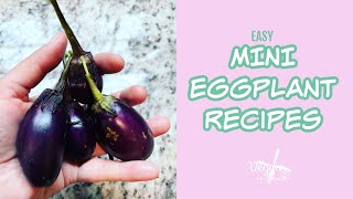When to Pick Mini Eggplant plus two EASY Mini Eggplant Recipes