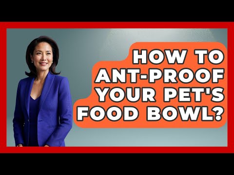 How To Ant-Proof Your Pet's Food Bowl? - Insects and Invaders
