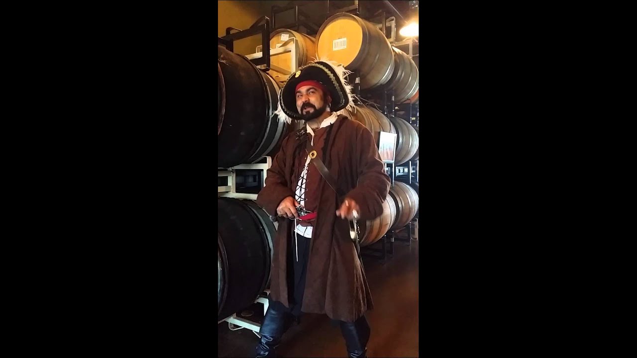Promotional video thumbnail 3 for Rent a Party Character