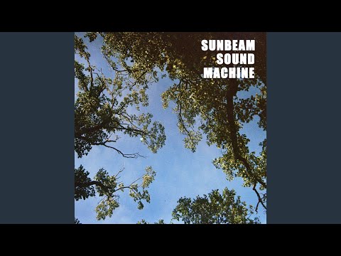 I Dreamt I Saw You In A Dream