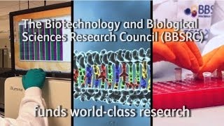 Impacts of bioscience #1 (1994-1999) HD