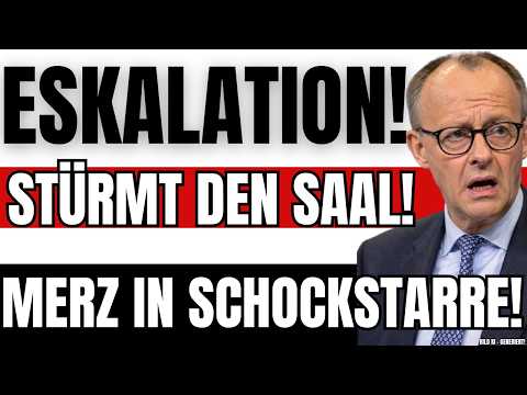 SCHOCK! AfD ENTLARVT plötzlich Merz-VERBÜNDETEN – STAATSMINISTER STÜRMT SAAL!