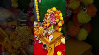 Surabhi Public School Video