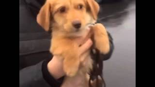 Swimming in the rain