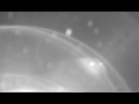 anodyna - Huìxīng彗星