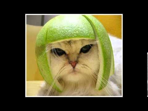 Pedro Cazanova DJ Antoine George Mac Mix SUMMER 2012