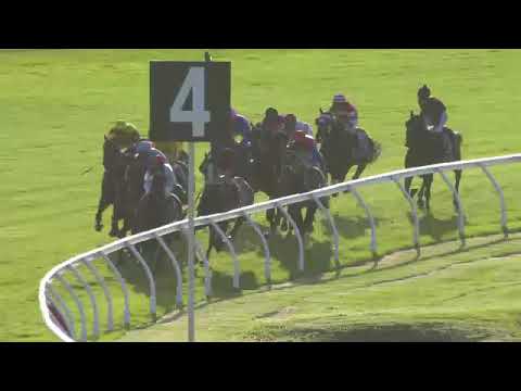 Bustler wins the Belmont Stakes