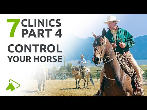 How to Control Your Horse | 7 Clinics with Buck Brannaman | wehorse