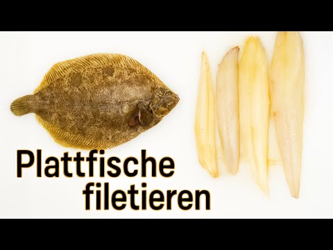 Plattfische filetieren – Seezunge, Rotzunge, Steinbutt & Scholle richtig vorbereiten