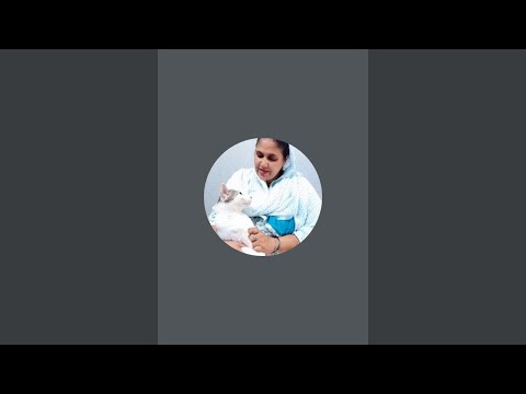 Sitara Family Vlogs | Ghar, Meow aur Emotions