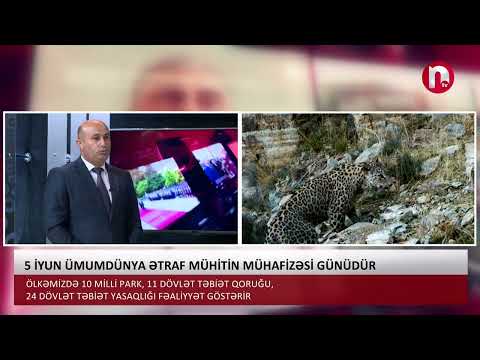 Aktual ekran - 5 iyun ümümdünya ətraf mühitin mühafizəsi günüdür, COP29-a hazırlıq - 05.06.2024