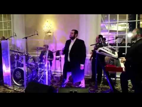 Shmueli ungar with freilach band at a wedding in Lakewood
